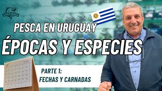 Pesca en #uruguay  - Calendario de Especies y Temporadas ( parte 1) screenshot 1