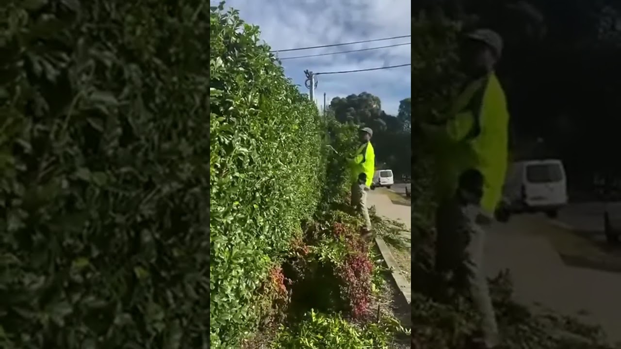 Enhance your outdoor space and add curb appeal with our expert hedge trimming services
