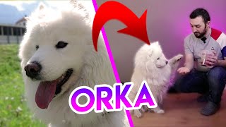 Elle Est De Retour Sur Ma Chaîne...