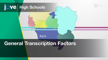 General Transcription Factors | Cell Bio | Video Textbooks - Preview