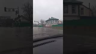 Подгора Потоп2024 #Петропавловск