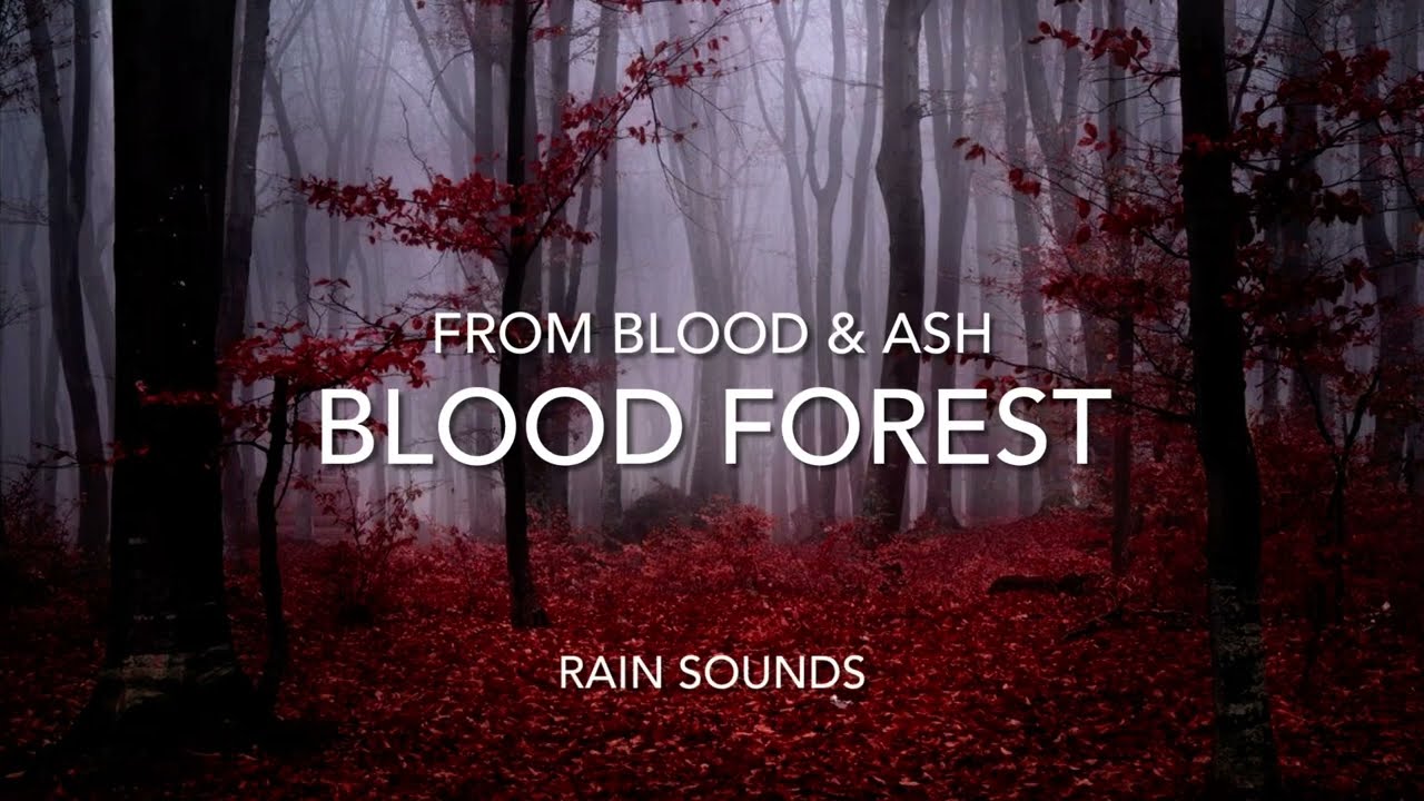 From Blood and Ash | Blood Forest Rain Sounds | Background for Reading & Studying