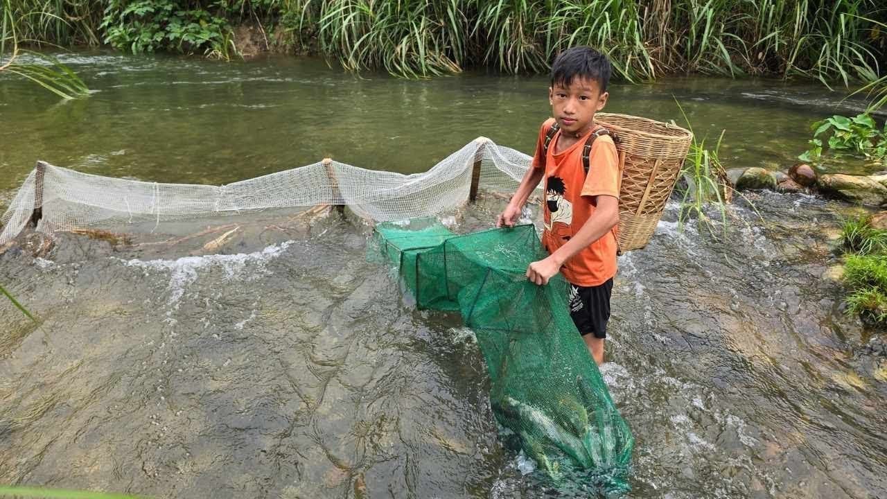 Clever Little Boy Builds Fish Trap by Blocking Stream | Genius Fishing Hack for Survival & Sale"