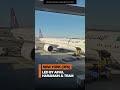December Umrah Group Successfully departed for Umrah from New York Airport