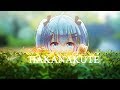 [animusic]-hakanakute(儚くて)- bright