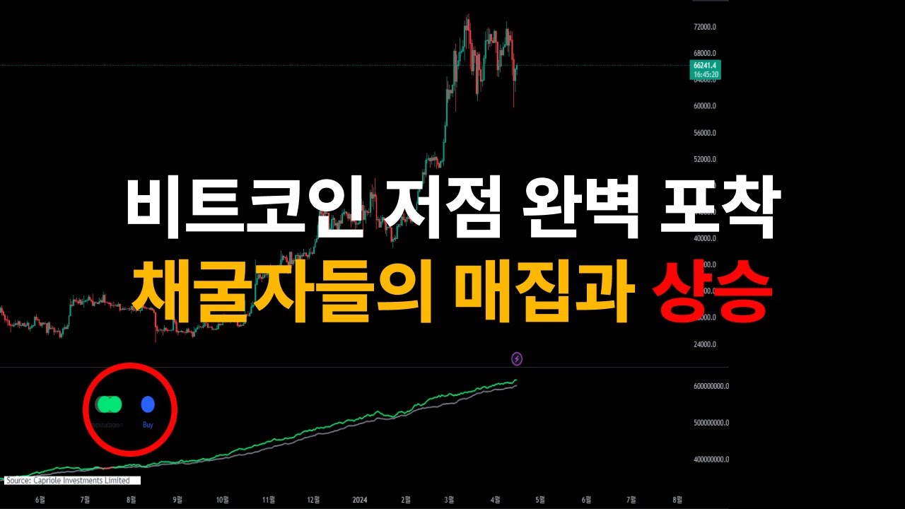 14강 : 평균 수익률 5378% 승률 100% 바닥을 잡는 최고의 도구 | 해시리본 바이시그널