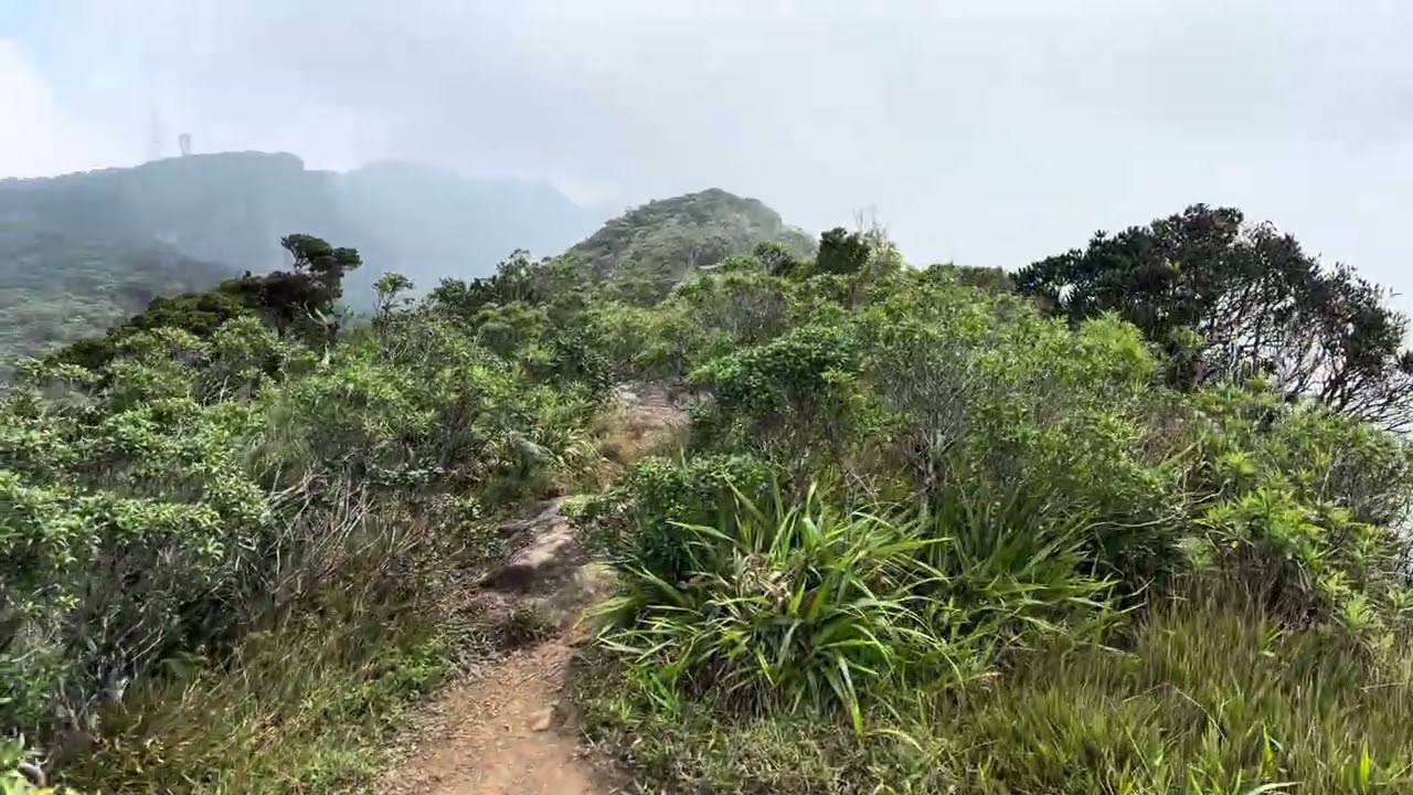 Gongala video tour 1941(03 26)