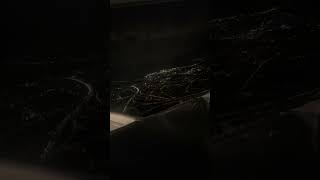 Finnair Romanic Take Off Brussel To Helsinki Morning