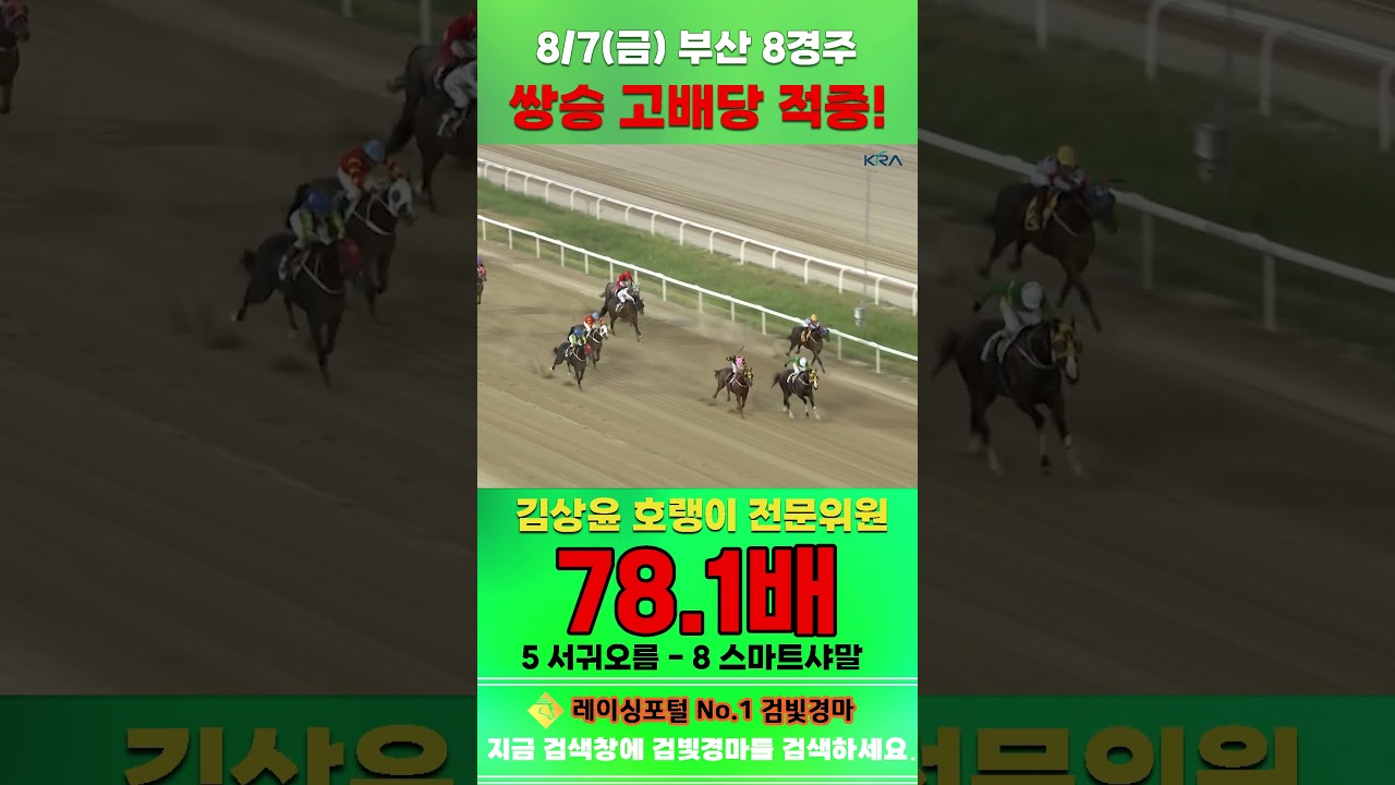 [부산 경마] 8월 7일 금요 8경주 김상윤 호랭이 전문위원 쌍승 고배당 적중 #한국마사회 #automobile #경마 #horse #하이라이트 #riding #korean #게임