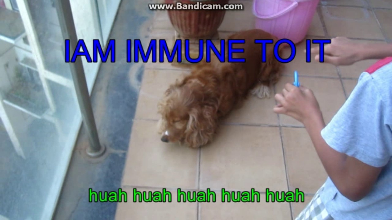 jimmy's GF kidnapped