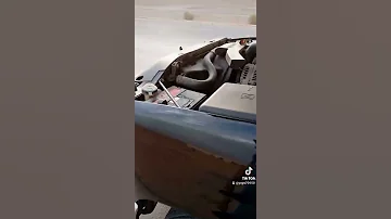 يوكن 2000 2006فيوز كهرباء النوافذ والكراسي والمسجل 