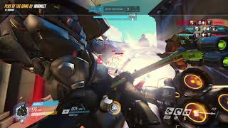 What is rein