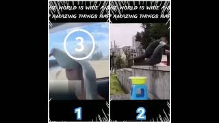 Which one is more amazing video?