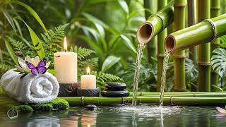 Relaxation Music Bamboo Water Fountain Healing Piano Sleep Music Meditation and Nature Sounds