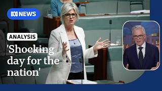 Helen Haines attack a 'confronting moment' for Australia: David Speers | ABC NEWS