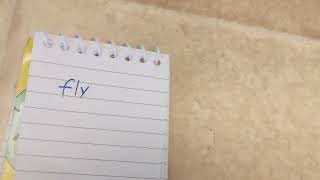 The Afternoon Sight Word Fly Grade 4 Sight Words By Buffalo School