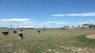 DSCF0820.AVI