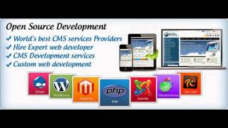 SEO, SMO PPC, ORM, Website Design & Development Services India-DSI screenshot 3