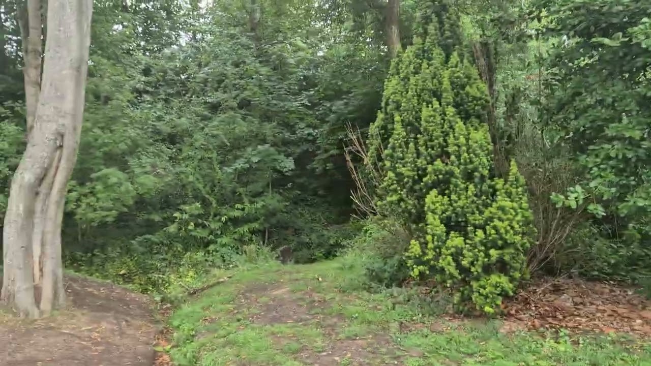 This is  cotteridge  park  in brimingham