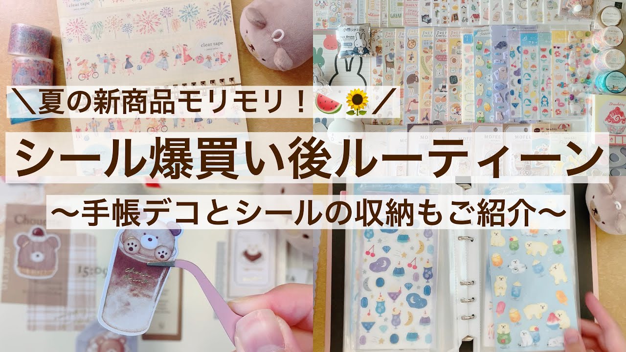 【購入品開封・作業動画】シール爆買い！購入後ルーティーン｜夏の新商品モリモリ！｜手帳デコとシール・マステ収納も 44/100