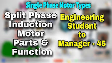 Split Phase Induction motor Construction and Working principle #Motor #induction #electrical