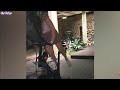 HAVING A BAD DAY?? WATCH THIS Video!! Fails of the Week 😂🔥