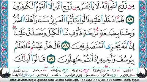 الجزء الثالث عشر من القران الكريم(تلاوة الشيخ سعد الغامدي )