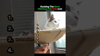 Ranking The Most Hilarious Pet Fails Ever