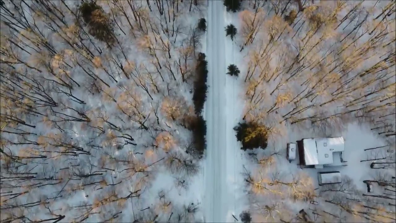 DJI mini 2 flying over icy trees 2 6 2022