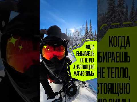 ❄️ Когда выбираешь