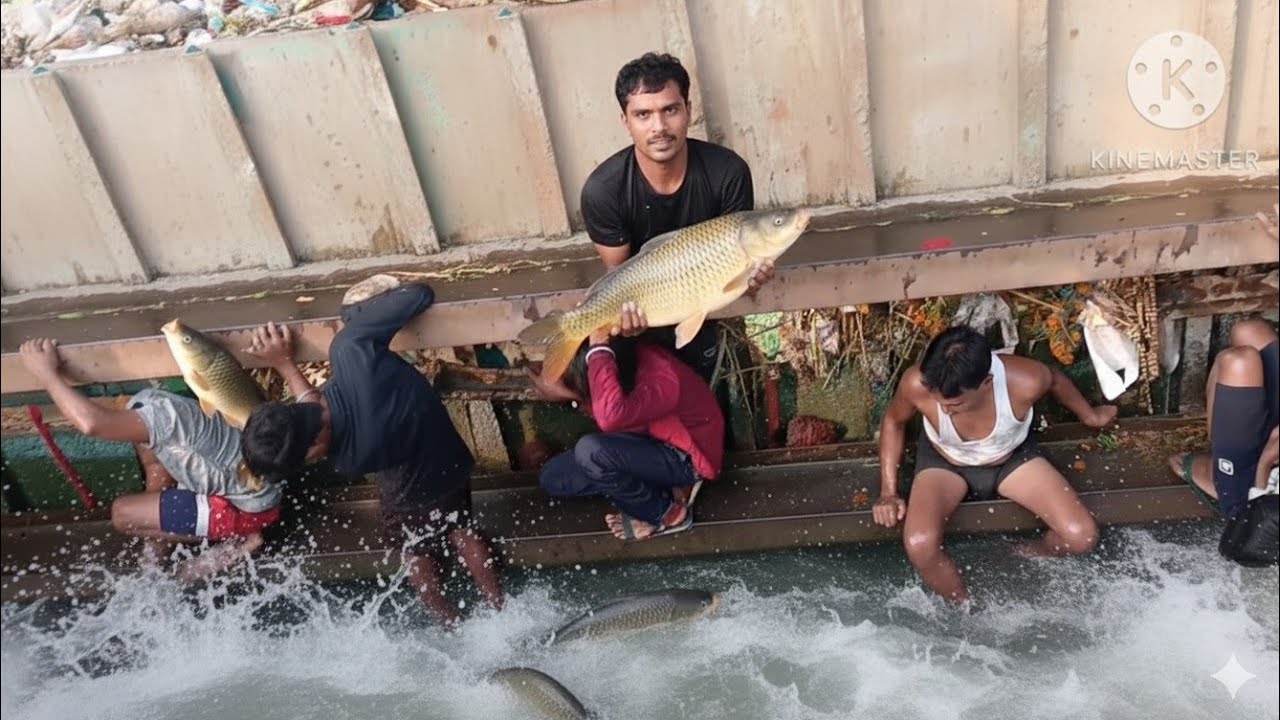 बाद में मछली चल रही है. Fishing आदमी हाथ से मछली पकड़ने लगे 😜
