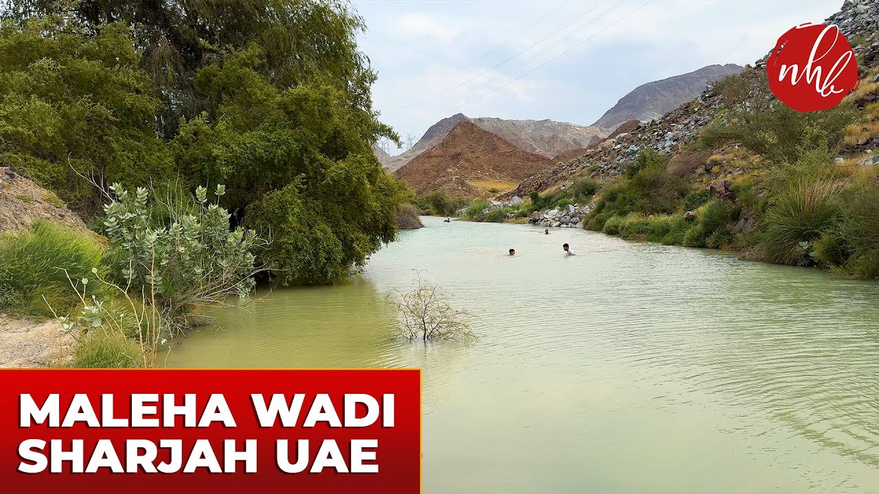 Exploring the Beauty of Maleha Wadi | Hidden Gem in Sharjah, UAE