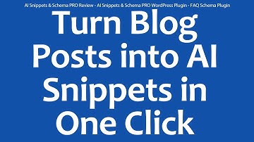 AI Snippets & Schema PRO Review - AI Snippets & Schema PRO WordPress Plugin - FAQ Schema Plugin