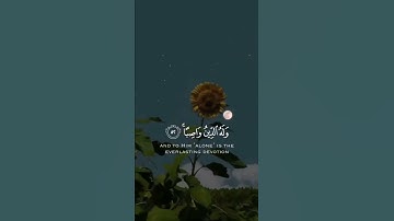 سورة النحل | القارئ عبدالرحمن مسعد