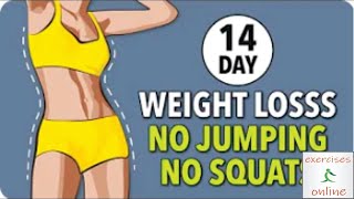 14 Day Weight Loss Challenge  No Jump, No Squat Daily Workout/14 დღიანი წონის დაკლების გამოწვევა