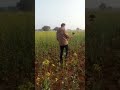 इंपोर्टेड जर्मनी मसीन से बोरवेल करवाये ओर 100% रिजल्ट पाए कॉन्टेक्ट 9898781287(2)