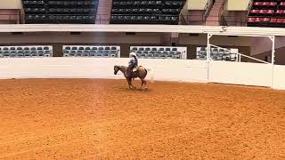 Full AQHA RANCH RIDING PATTERN ONE News