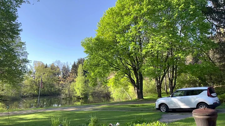 Late spring morning at Solbacka