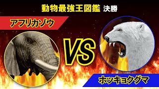 動物最強王図鑑（決勝戦）