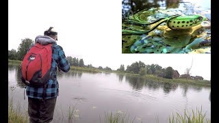 Щука в КУВШИНКАХ на ЛЯГУШКУ-НЕЗАЦЕПЛЯЙКУ , в этом озере полно  щуки.