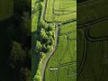 Ancient Arizona Was Advanced?! 🌵 Hohokam Canal System Explained