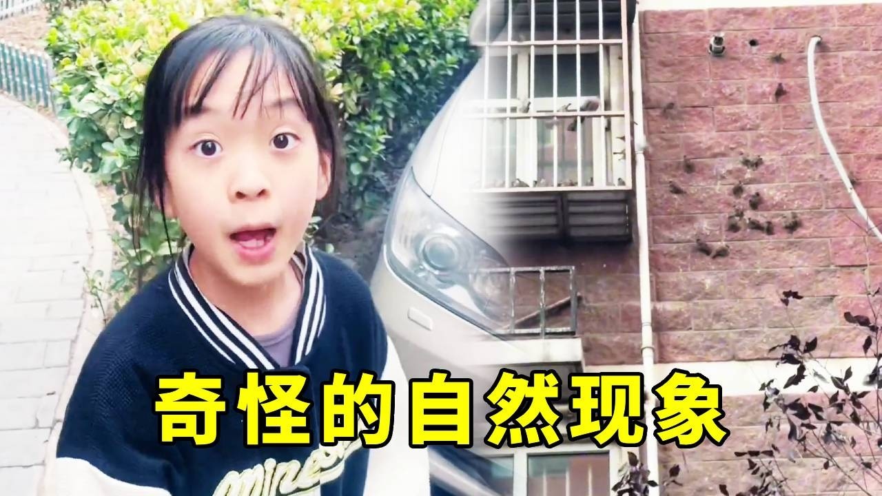 奇怪的自然现象！让人头皮发麻的奇怪景象，你知道原因吗#万万没想到