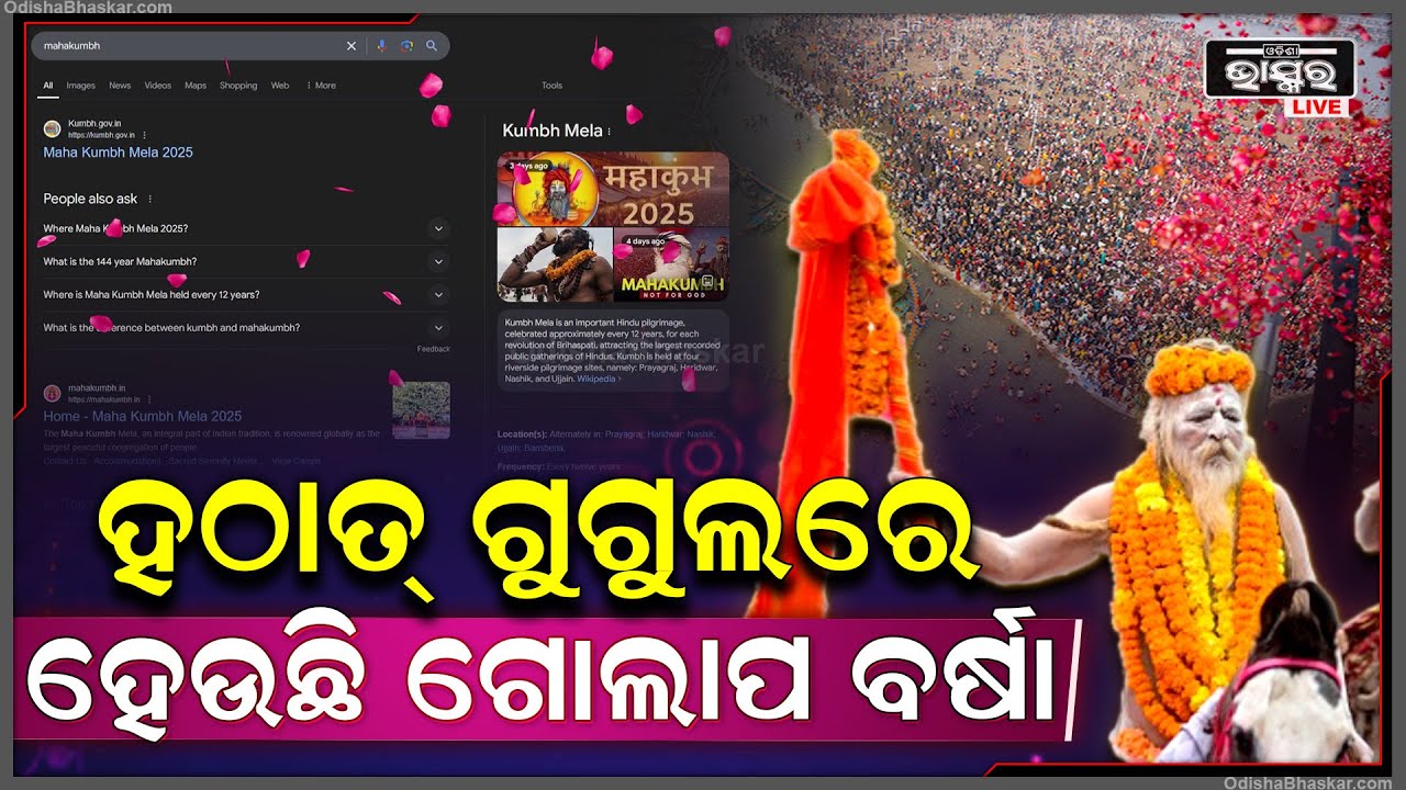 ହଠାତ୍ ଗୁଗୁଲରେ ହେଉଛି ଗୋଲାପ ବର୍ଷା ....ଯାହାକୁ ଦେଖି Users ହେଲେ ଆଶ୍ଚର୍ଯ୍ୟ ! Flower Petals theme in Google