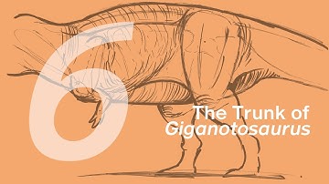 06 The Trunk of Giganotosaurus | Join ZHAO Chuang in Drawing Lucas the Giganotosaurus