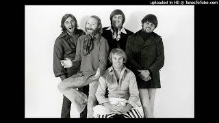 (Wouldn&#39;t It Be Nice To) Live Again (7 Minute Version) - The Beach Boys