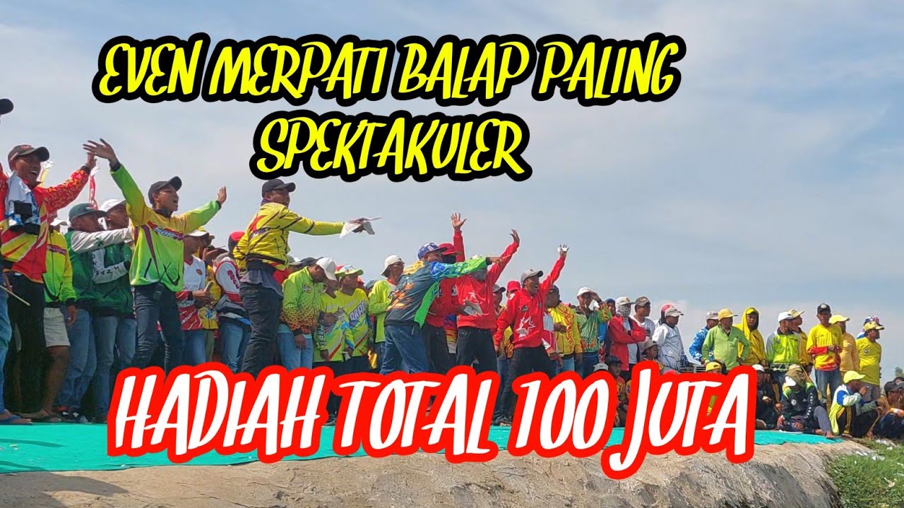 BABAK TIGA Merpati balap full kejutan silaturahmi MB jatim 2026