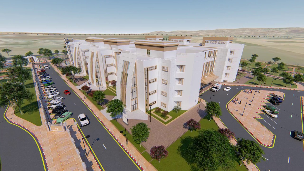 Hôpital ain defla 240 lits