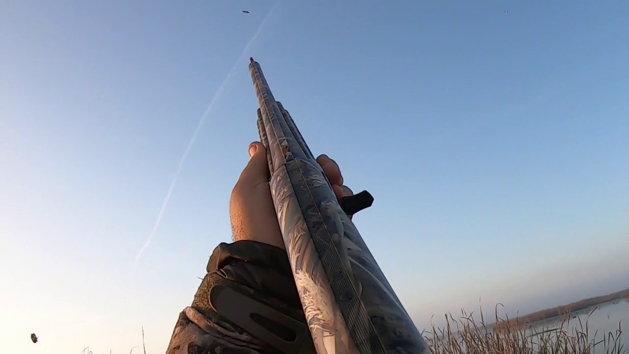 California Duck Hunt Teal Limits January 2021 YouTube