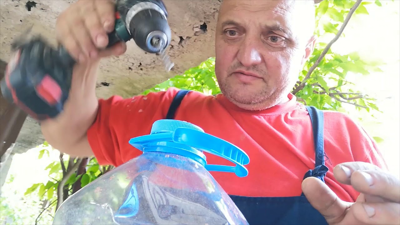 Momeala -porumb fermentat