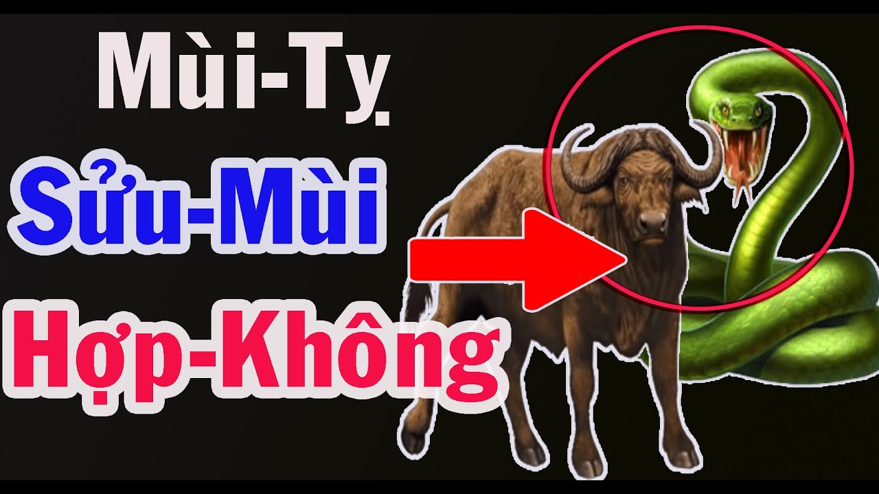 Tuổi Mùi  Tuổi  Tỵ Và Tuổi  Sửu  Tuổi  Mùi Có Hợp Với  Nhau Không